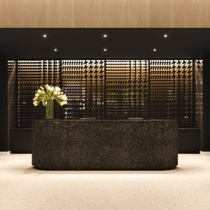 persp_SQPH2_reception